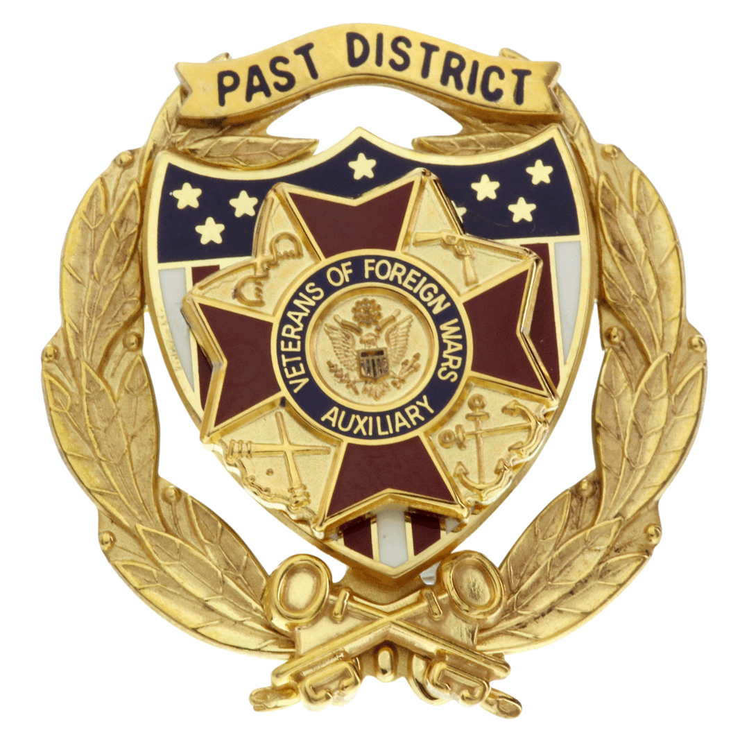 VFW Store - Auxiliary Past Dist Treasurer 10G Pin